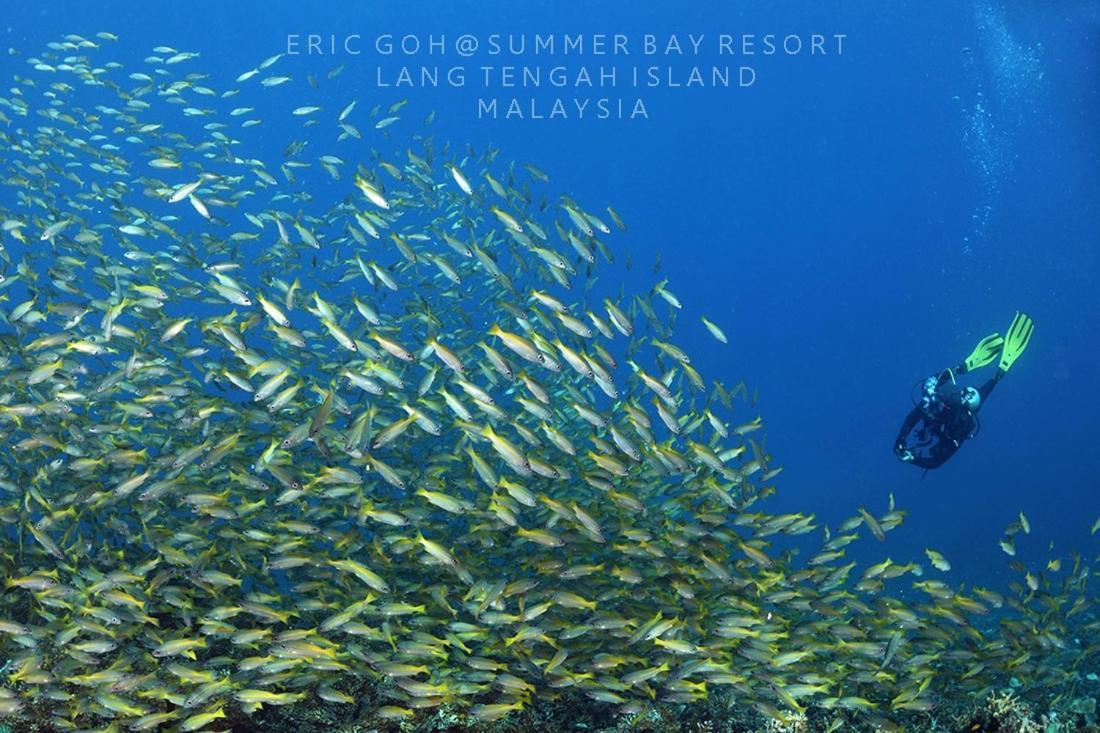 Summer Bay Resort, Lang Tengah المظهر الخارجي الصورة