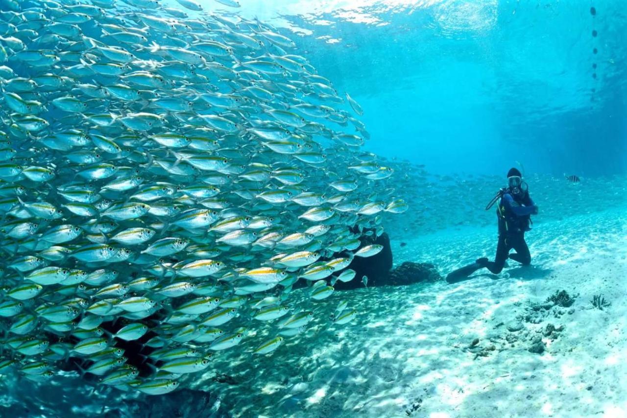 Summer Bay Resort, Lang Tengah المظهر الخارجي الصورة